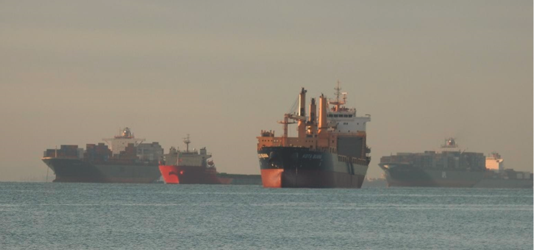 硬件故障！休斯頓港倆碼頭癱瘓ing....