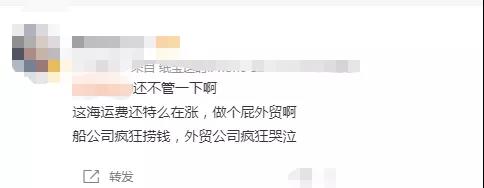 漲瘋！1個箱子2萬美金，大賣海運費漲了5倍