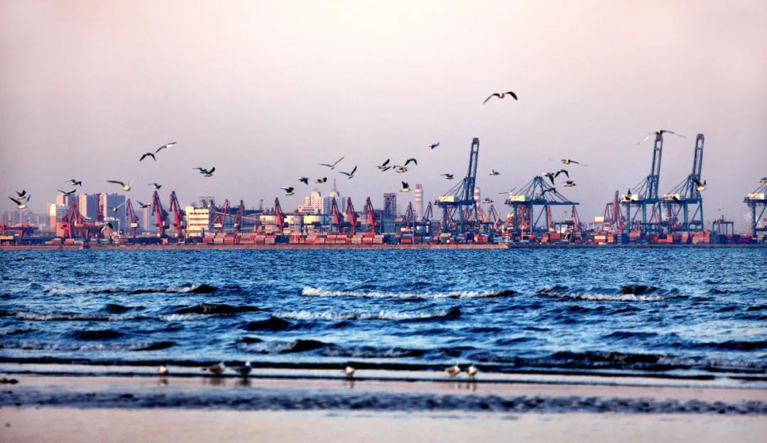 歐盟與拜登 航運(yùn)業(yè)的“臥龍鳳雛”？