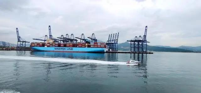 無視疫情影響！深圳鹽田港上半年集裝箱吞吐量仍增長(zhǎng)21%！