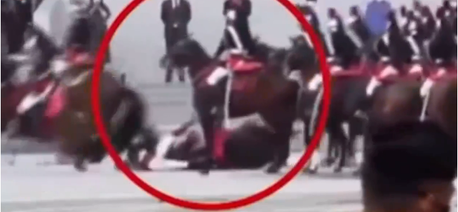 阿根廷付不了款？法國多地爆發(fā)大規(guī)?？棺h！港德班港陷入癱瘓停擺！多個港口關(guān)閉！物流或大面積延誤！