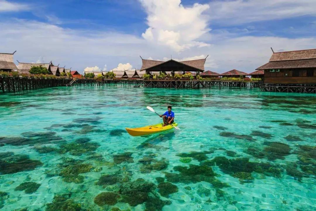 揪心！Delta變異毒株肆虐亞洲，印尼、馬來西亞、越南、韓國等多國確診創(chuàng)新高