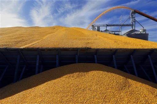 "噠! 噠! 噠!" 這種船就像印鈔機(jī), 每天吐出3萬(wàn)美金! 印錢能力翻著滾漲! ...關(guān)鍵時(shí)還不忘拉一把"窮親戚"