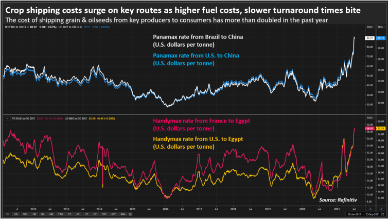 海運(yùn)成本翻倍！國(guó)際糧價(jià)壓力山大