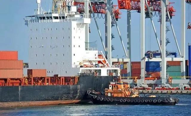 散貨船、油船和集裝箱船三大船型船價全線上漲，“囤船”開始了？