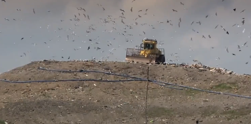 現(xiàn)場曝光！數(shù)百萬件全新商品被亞馬遜當(dāng)垃圾銷毀，包括上萬元的蘋果電腦！