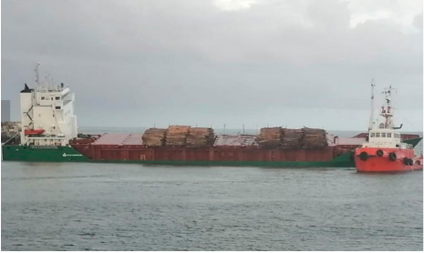 提醒！原木大量散落，該港口暫時(shí)關(guān)閉！