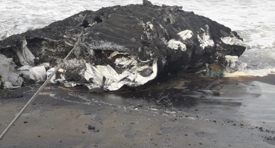 起火爆炸的“X-Press Pearl”輪，有船員核酸檢測(cè)呈陽性  