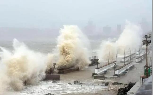 禍不單行！臺風襲擊印度，又有港口暫停運營，供應鏈延遲加劇 