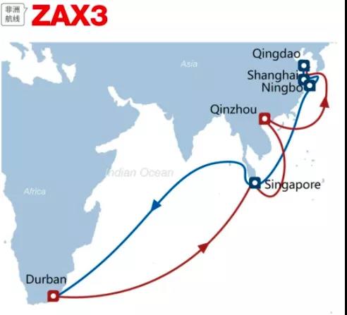 一箱船船長感染新冠死亡！多國港口禁止掛靠！曾掛靠青島、上海和寧波等港口