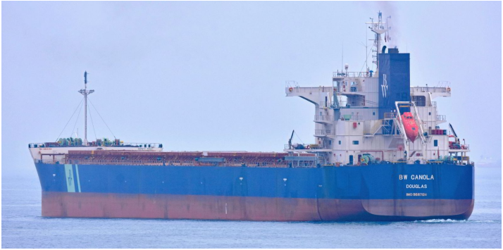 BW用了5年的散貨船, 轉(zhuǎn)手賺了600萬！今年一季度二手船交易量創(chuàng)紀(jì)錄