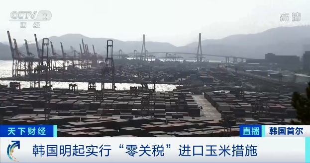 今日起，韓國玉米進口零關稅