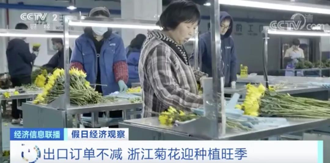 這種植物零售價翻倍！出口國外走俏！這種進口水果價格卻降了！