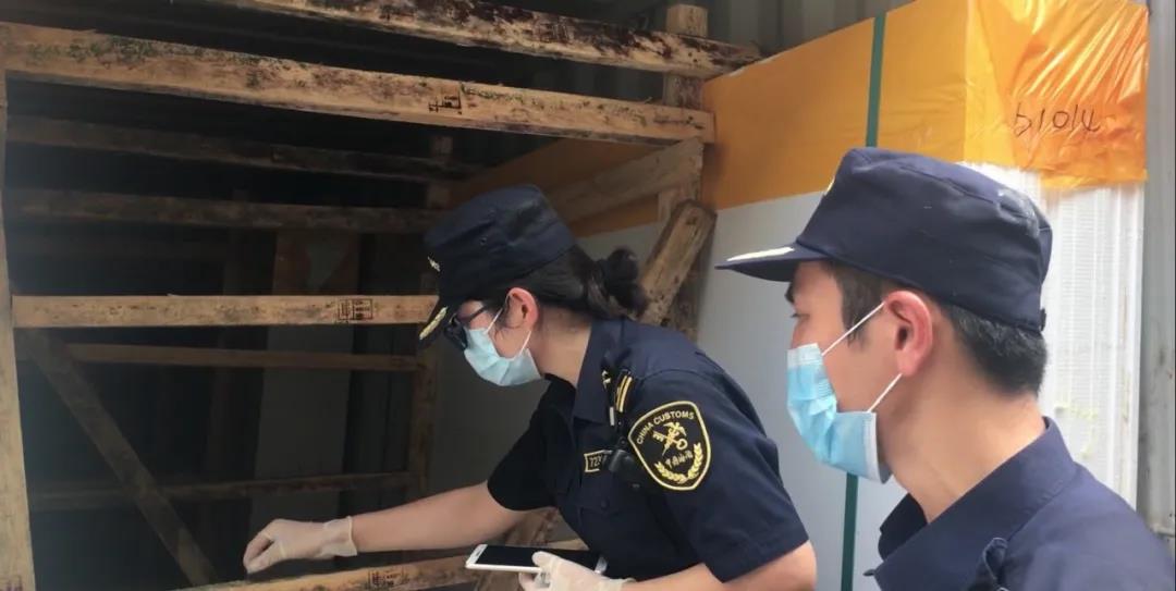解讀 | 入境貨物木質(zhì)包裝查驗工作  