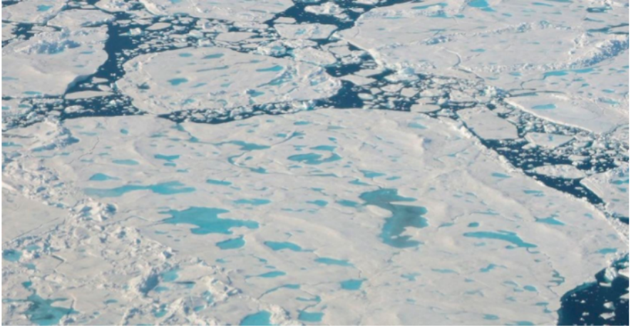 MSC重申：即使蘇伊士運河關(guān)閉，也不考慮北極航道