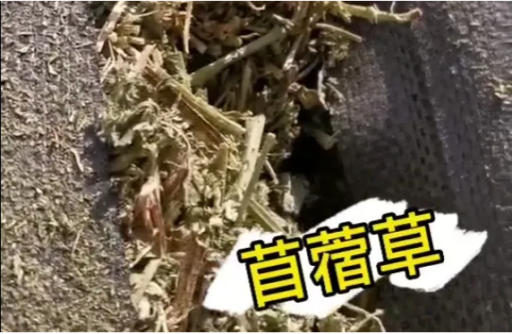 貨代貨主注意！海關(guān)嚴(yán)查，嚴(yán)禁空箱夾帶！