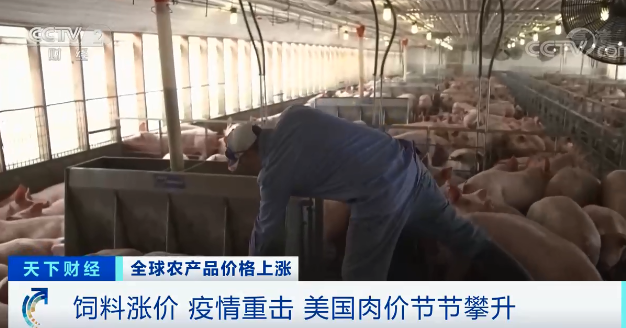 高粱大漲82.1％、玉米大漲45.5%！全球糧食危機風險加劇