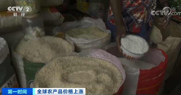 高粱大漲82.1％、玉米大漲45.5%！全球糧食危機風險加劇