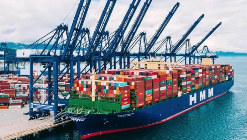 超一半HMM船員辭職，MSC雇用?THE聯(lián)盟損失5.8億$，釜山港遭遇危機(jī)