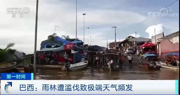 全球極端天氣頻發(fā)！“世界糧倉(cāng)”告急，美國(guó)糧食庫(kù)存減少！海平面持續(xù)上漲，多城將無路可退…