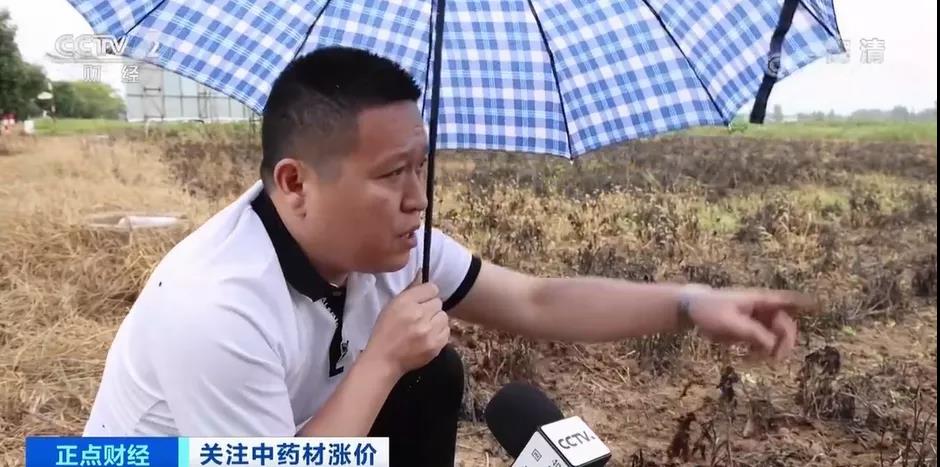 這貨大規(guī)模漲價(jià)！漲幅達(dá)200%！“有錢(qián)也拿不到貨”？！怎么回事？