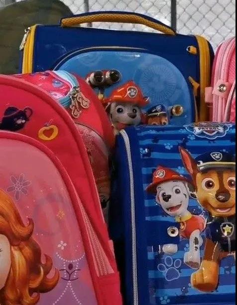 海關(guān)嚴(yán)打侵權(quán)！這些產(chǎn)品出口被查獲