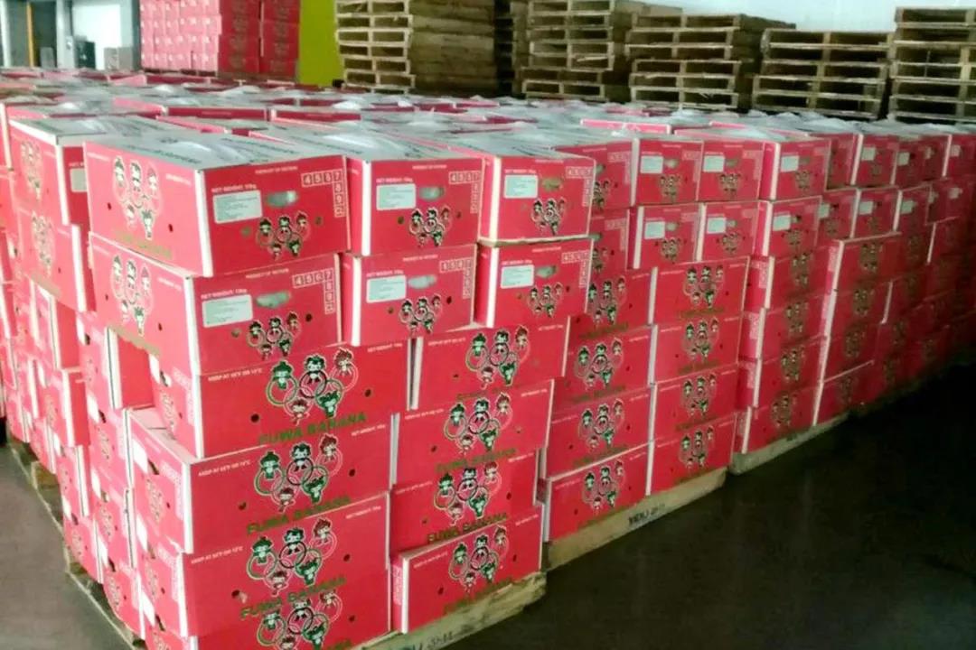 剛剛，多個集裝箱，5300多萬貨物在洛杉磯港口被查獲！