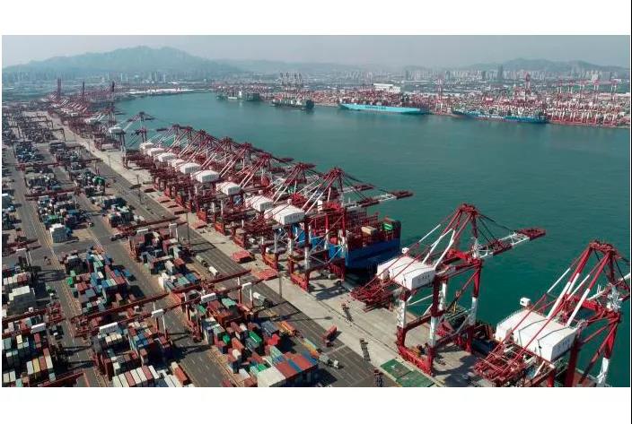 改行！這家公司, 5艘散貨船跑去運(yùn)集裝箱！...P&I緊急提醒