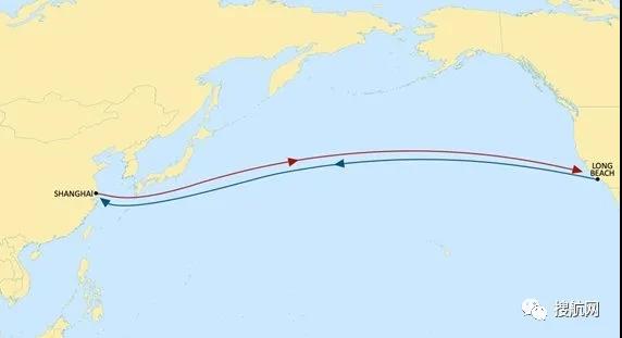MSC推出兩項(xiàng)新跨太平洋服務(wù)，連接深圳/上海和長(zhǎng)灘港