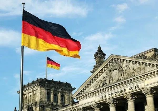 英國脫歐后遺癥來了！豬沒人殺，菜沒人摘，貨車沒人開，牛奶只能倒掉了...