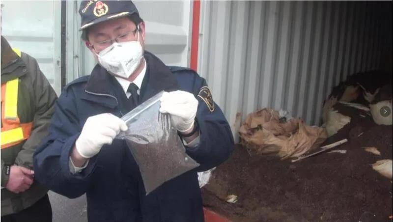 集裝箱剛從英國出發(fā)就被盯牢，滯港18年仍被退運…