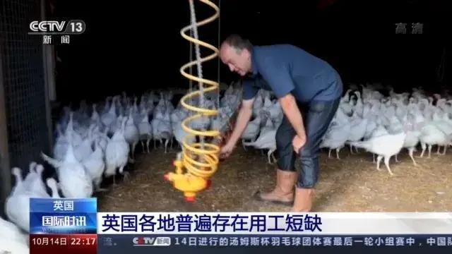 大量貨物堆積港口！這些地方，深陷供應鏈危機！