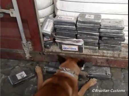 巴西已成“毒窩”！MSC被嚇跑，無(wú)限期停止該國(guó)多式聯(lián)運(yùn)！...船舶注意防范！