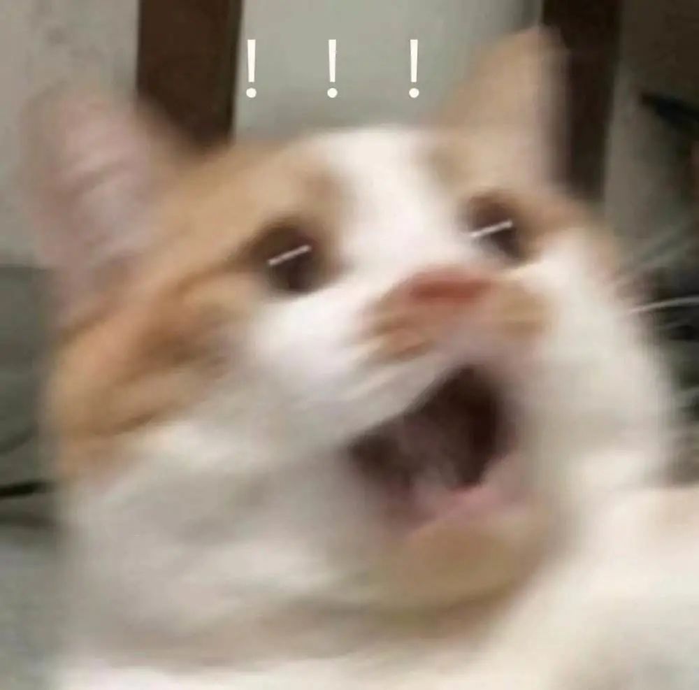 細思極恐！人體唾液、120斤頭發(fā)…你永遠想不到海關每天能截獲到啥！