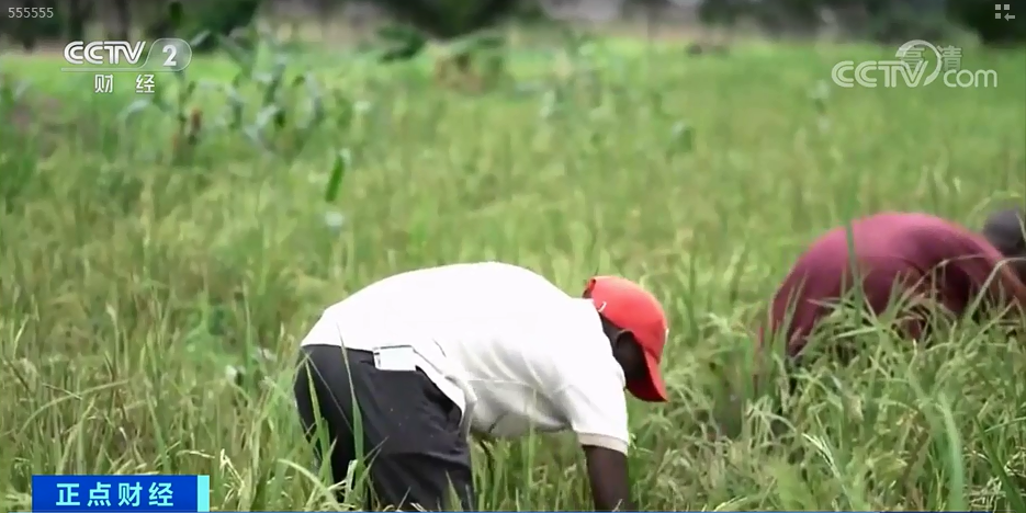 緊急！只夠3天！大關(guān)停，幾十家企業(yè)受影響！