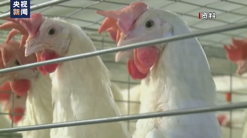 多國遭遇重大危機