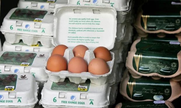 多國遭遇重大危機