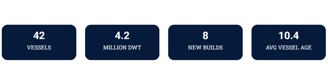 抄底成功！船東買7艘船后大賺
