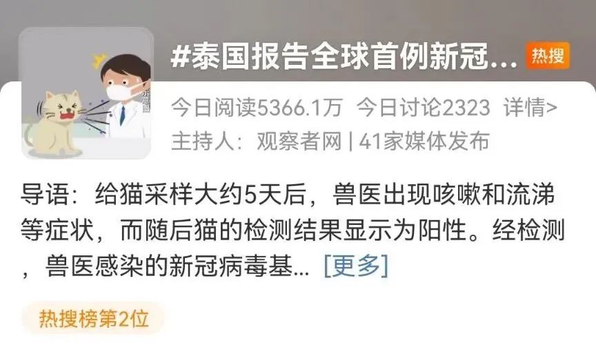 麻煩了！新冠貓傳人？？美國、法國、俄羅斯、新加坡、印度、韓國最新通報??！