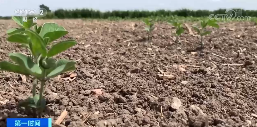 突發(fā)！這個國家宣布：多地進(jìn)入緊急狀態(tài)！