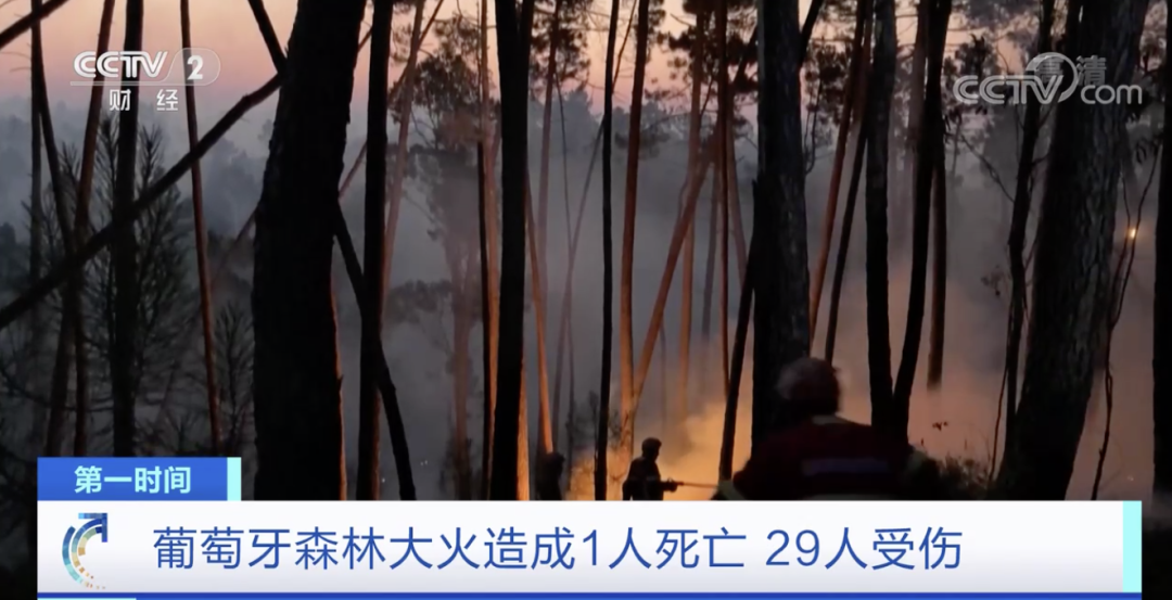 突發(fā)！這一國(guó)家宣布：多地進(jìn)入緊急狀態(tài)！