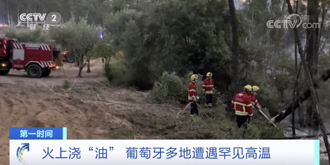 突發(fā)！這一國(guó)家宣布：多地進(jìn)入緊急狀態(tài)！