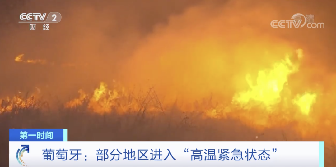 突發(fā)！這一國(guó)家宣布：多地進(jìn)入緊急狀態(tài)！