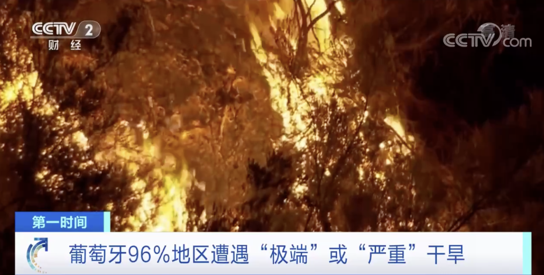 突發(fā)！這一國(guó)家宣布：多地進(jìn)入緊急狀態(tài)！