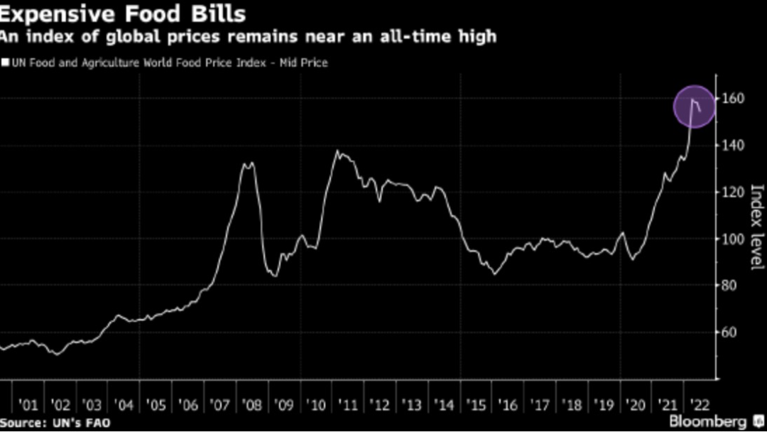 剛剛！俄烏協(xié)議達成：黑海三個港口將恢復(fù)糧食出口