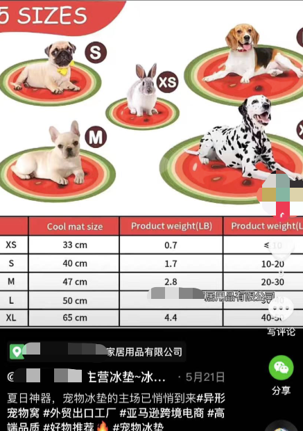 類目熱度暴增5倍，寵物消暑神器火了