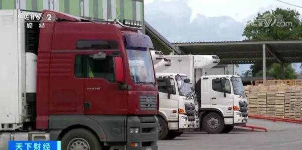 “禁運(yùn)令”解除！烏克蘭著手組建船隊(duì)！