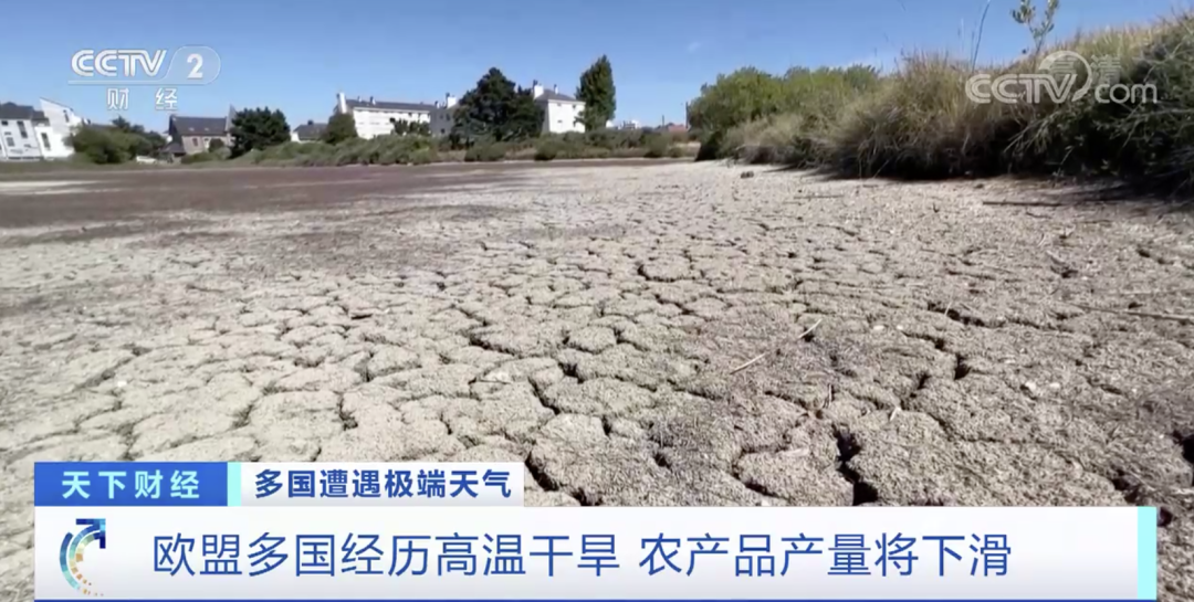 突發(fā)！國(guó)外一電商平臺(tái)公司倉(cāng)庫(kù)起火致1死13傷！