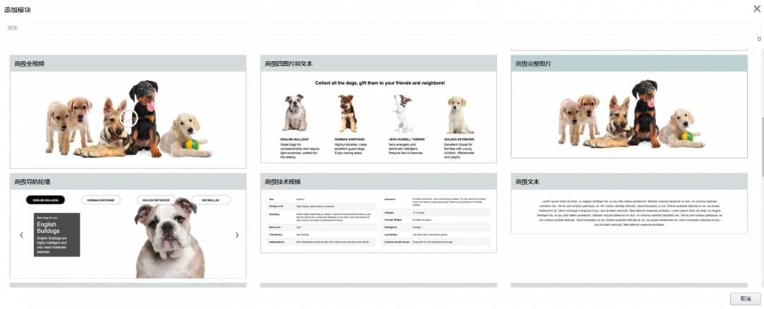 亞馬遜高級(jí)A+頁(yè)面更新！賣家：對(duì)轉(zhuǎn)化率的影響非常期待