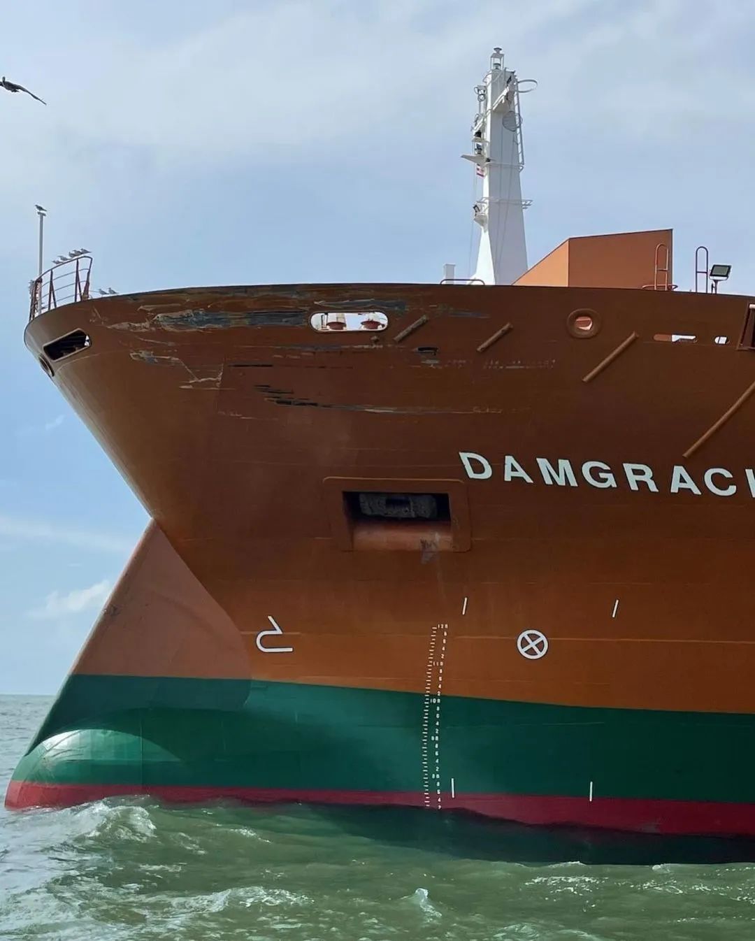 兩船碰撞！一干散貨船船尾如紙盒般被撕開(kāi)